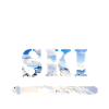 ski