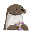 otter sweets