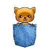 Fox in pocket
