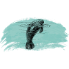 Lamantin dans l'eau