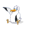 Möwi
