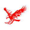 Fire red eagle