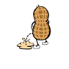 Erdnuss Peanut Peenut
