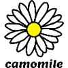 camomile