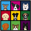 9_hundekoepfe_bunt