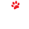 Dog Mom