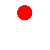 sun eagle