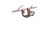 sloth