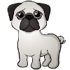 pug