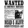 schrödinger's cat wanted black