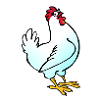 Poule