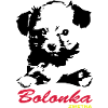 Bolonka Zwetna Design