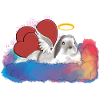 Rainbow rabbit Pauline