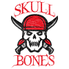 Pirat pirat kraniet piratkopiering pirat kranium