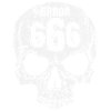Erreur 666