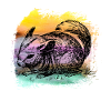 Squirrel squirrel squirrel t shirt
