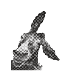 Boleo Amorgos Esel Donkey