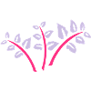 wild flowers