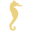 Seepferdchen