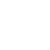 Vampire skull