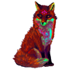 red fox
