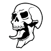 Skull skull