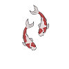 Koi Koi Koi