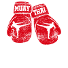 MUAY THAI Boxhandschuhe