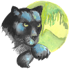 animal the black panthere