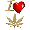 cannabis