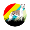 Windhund Jagdhund
