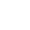 No Rain No Flowers