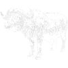 buffalo
