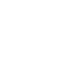 Araignée Spider