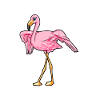 Flamingo Flamenco vaaleanpunainen lahja tyttöystävä nainen