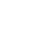 PARTY
