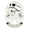 Skull skull with helmet