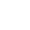 Panic at the disco