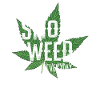 Smoke Weed Everyday