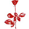 Flower Rose Violator Grafik