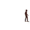 Évolution de l'homme