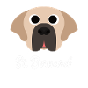 Saint-Bernard - Saint-Bernard
