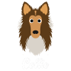 Collie - Rough Collie