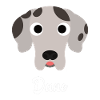 Dane - Great Dane