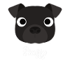 Staffy - Staffordshire Bull Terrier