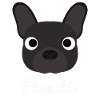 Bouledogue Français - Frenchie