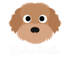 Labradoodle
