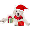 Noël