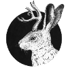 Jackalope - fabulous rabbit with antlers