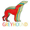 greyhound